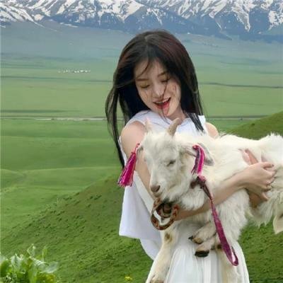 红白黑黄第一季