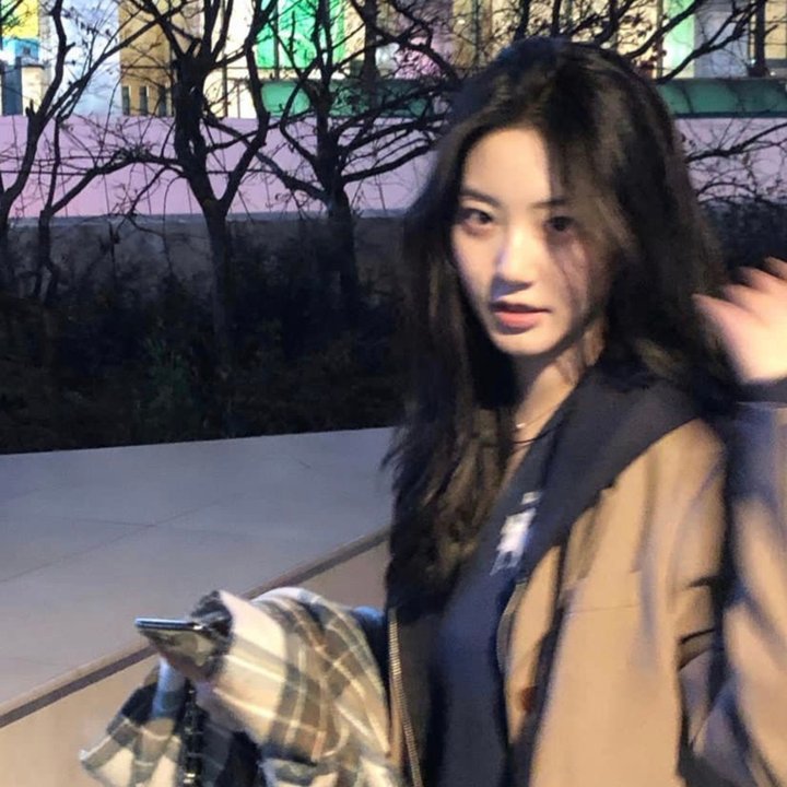 阿尔西诺和飞鹰