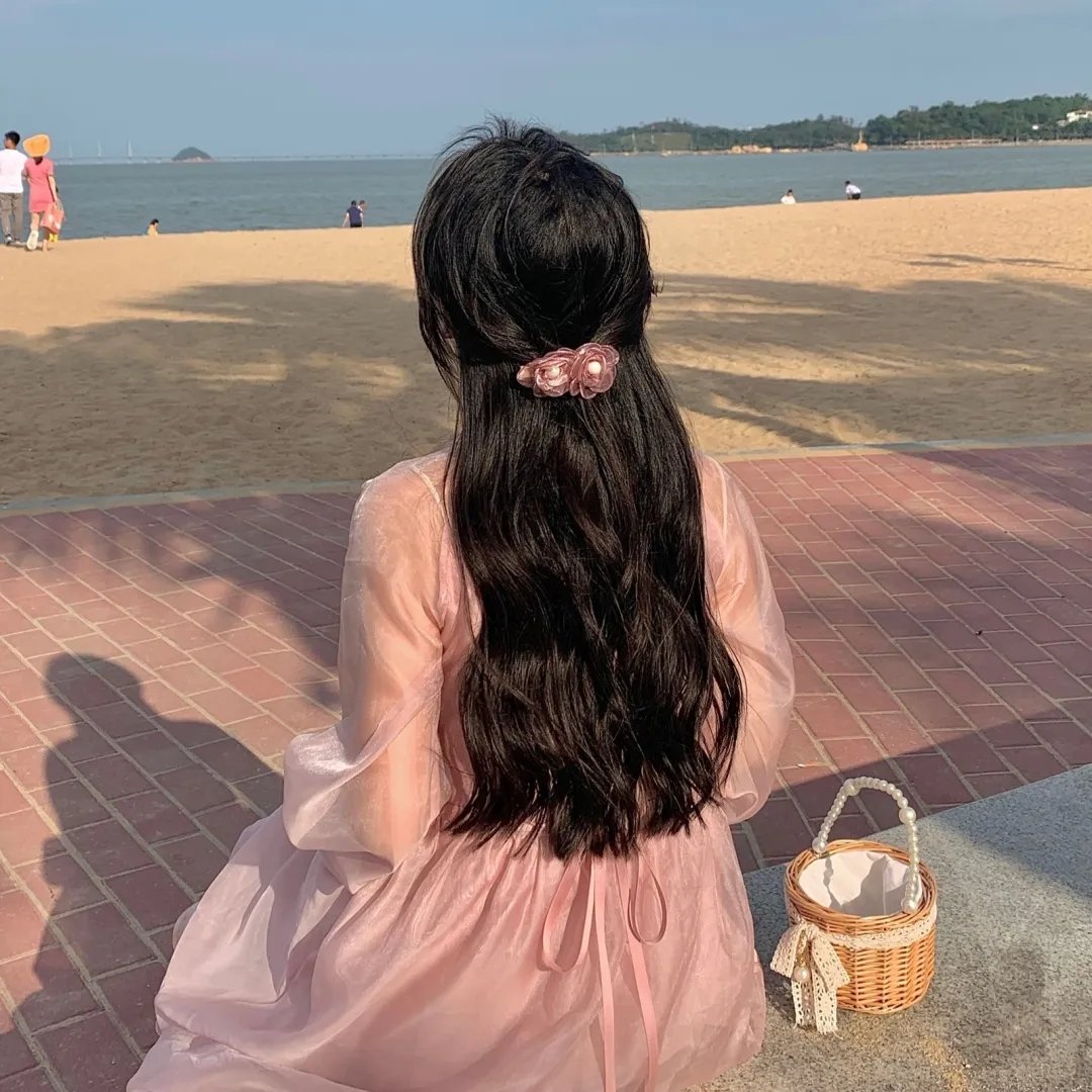 科搜研之女2022